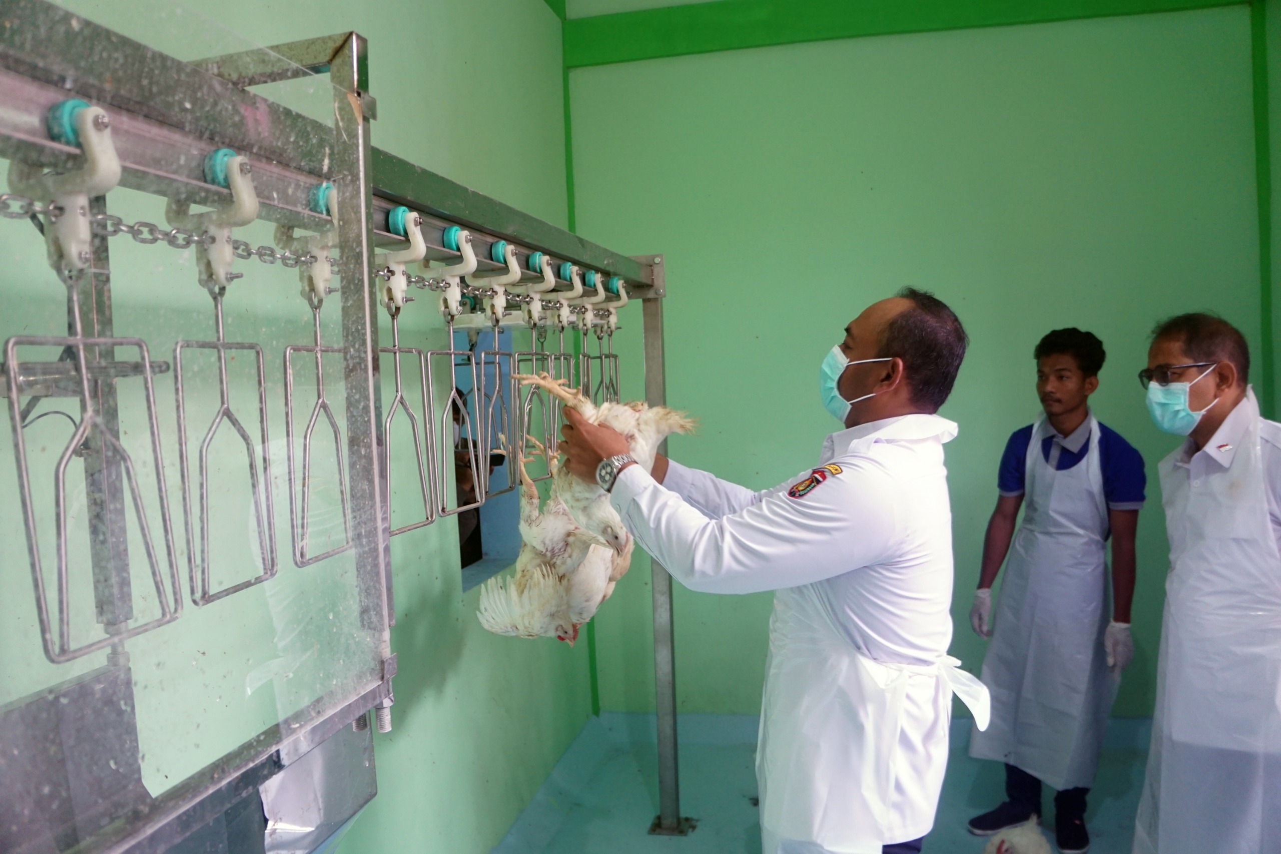 Peresmian RPHU di Pasar Hewan Karangrejo, Perkuat Sentra Peternakan Terintegrasi