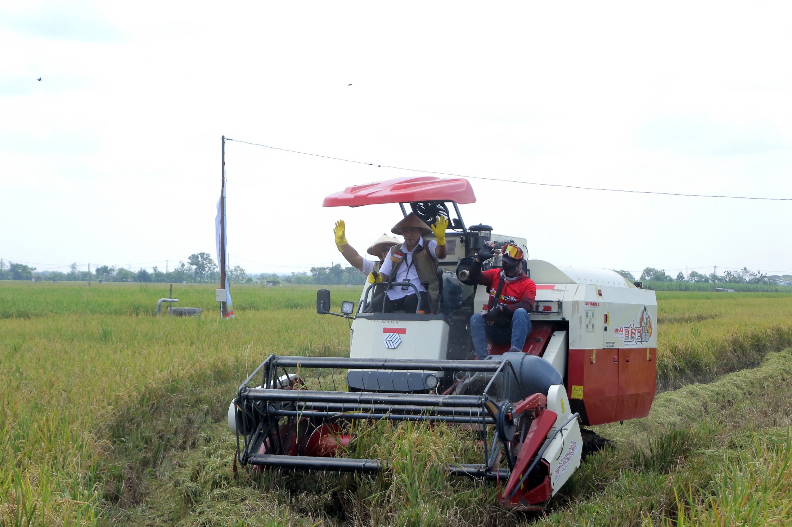 Panen Raya di Ngawi, Bulog Perkuat Target Serapan 4 Juta Ton Beras 2026