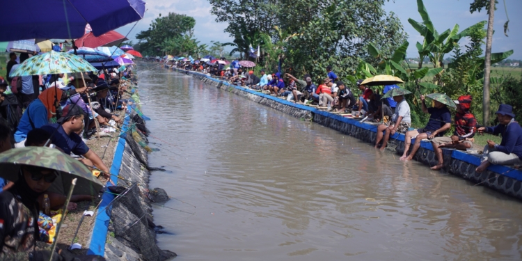 Semarak Lomba Mancing di Desa Beran Sambut Rangkaian Hari Jadi Ngawi ke-668 dan Dorong UMKM Desa