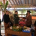 Wujud Pelestarian Tradisi, Festival Kampung Budaya Umbul Dungo Perkuat Ekonomi dan Keguyuban Masyarakat