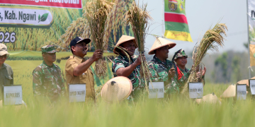 Pacu Legalitas Benih Lokal Super, Langkah Strategis Ngawi Pertahankan Status Lumbung Pangan Nasional